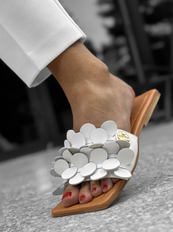 108.jpg
