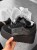 980-pion.jpg